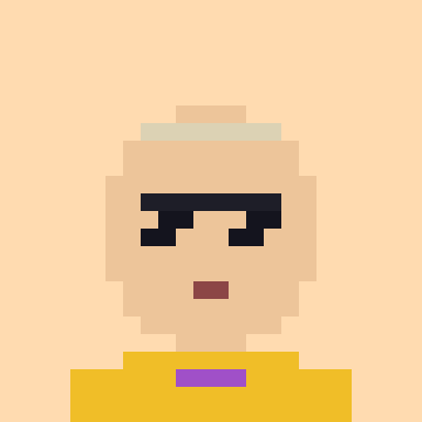 Cryptopunks-Porträt von Pegasus